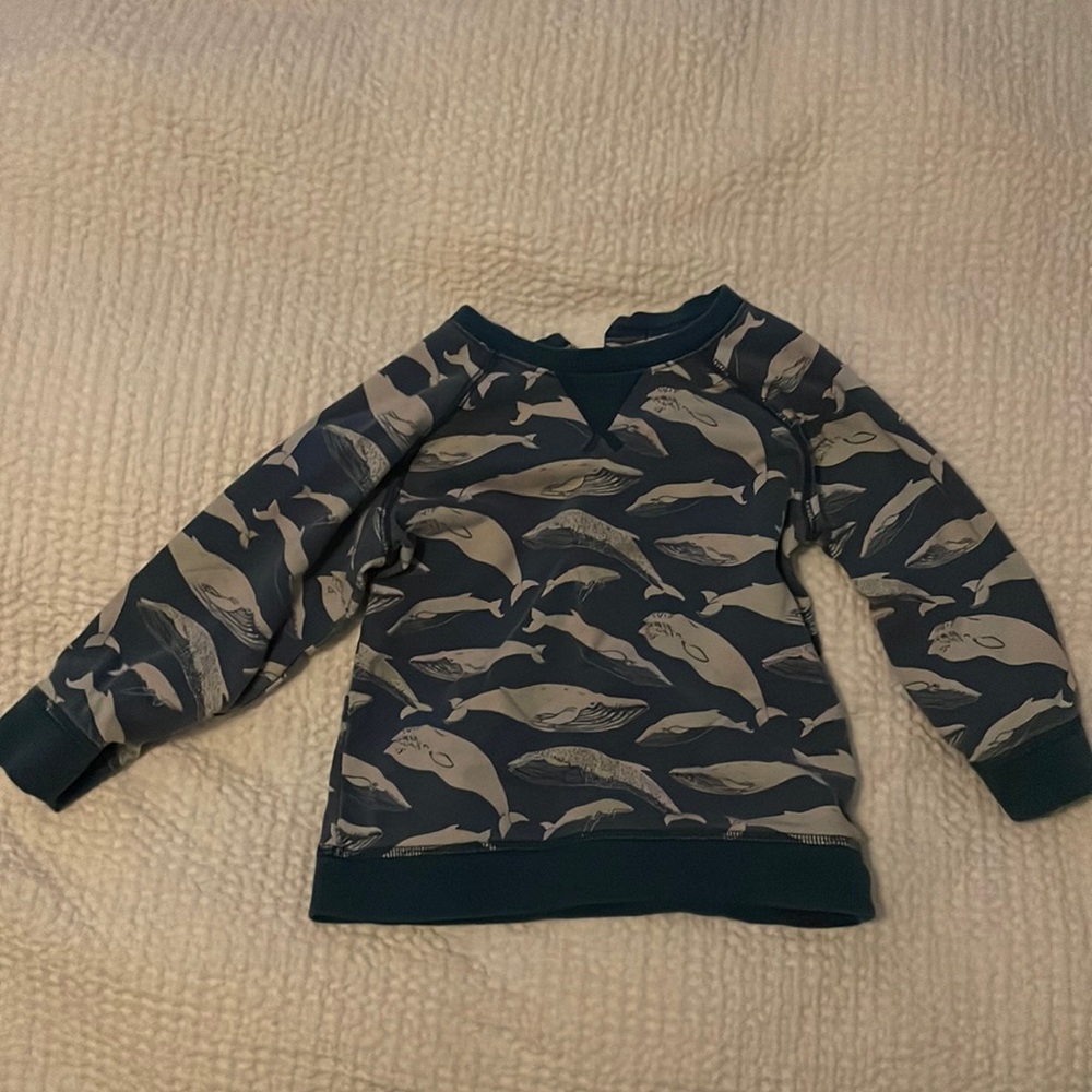 Sweatshirt, 18-24 months